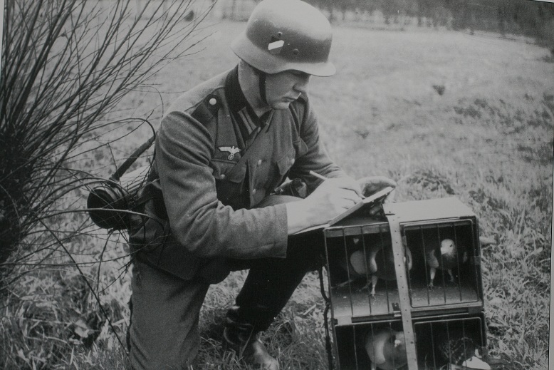 Duitse soldaat aan het Russische front met duiven