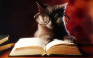 HSS Wise Cat with Glasses Reading Book