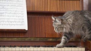 A piano with a sheet of music and a cat stepping onto the piano keys