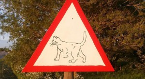nieuw-verkeersbord-in-zwaagdijk-waarschuwt-voor-overstekende-katten-