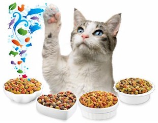 cat_food