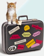 cat_suitcase