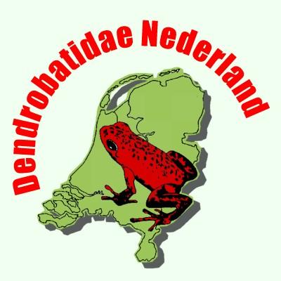 logo DN