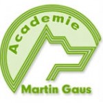 logo Gaus