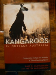 bibliotheek kangoeroe 004