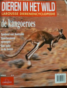 bibliotheek kangoeroe 008
