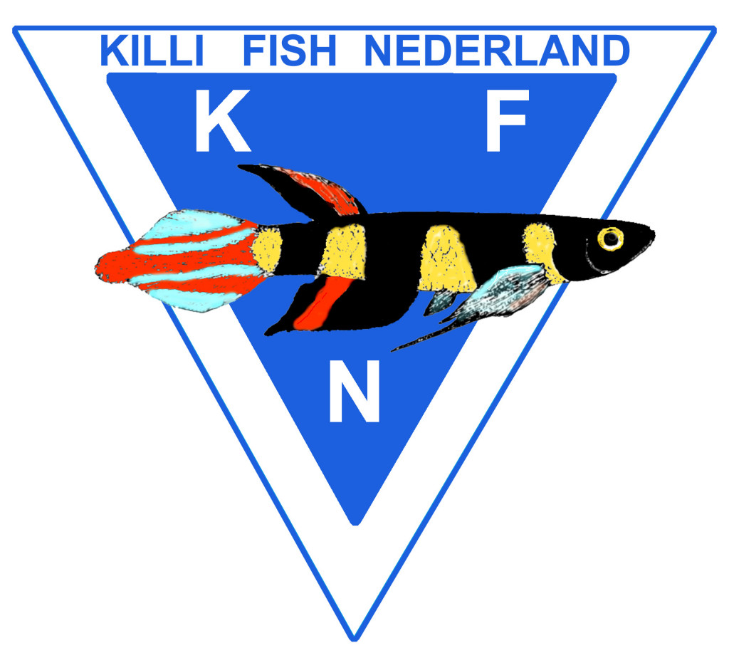 logo KFN